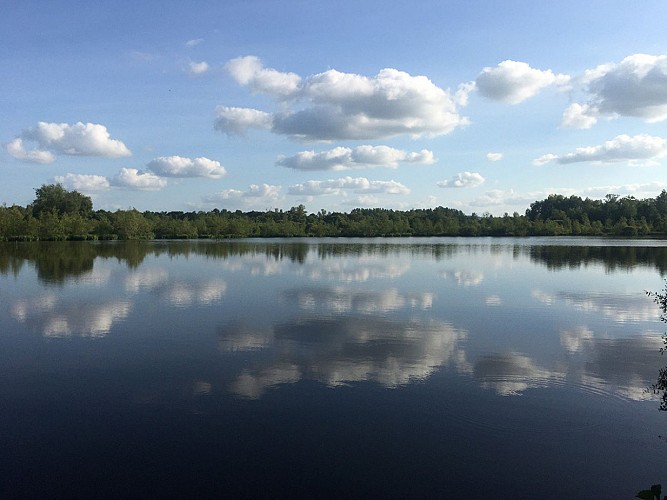 Marais-grand-haze-tourisme-61