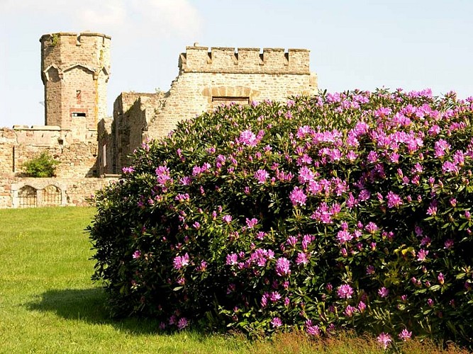cerisi rhodo-flersagglo800