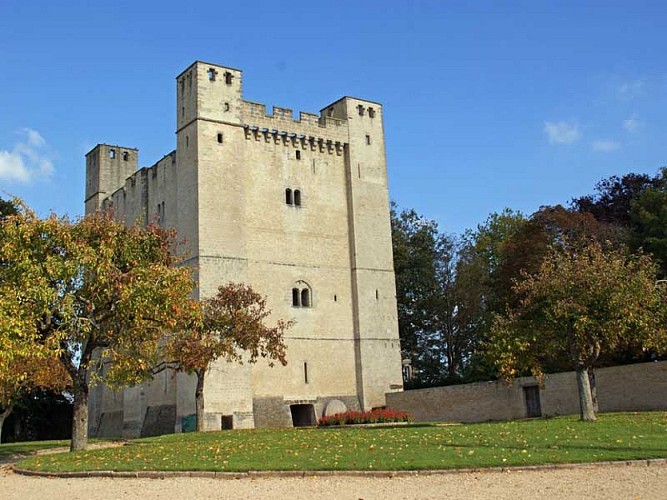 Donjon de Chambois