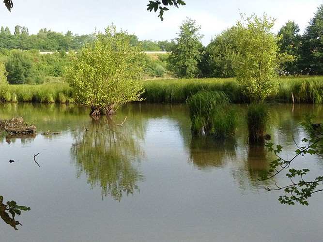 L'étang du Perron - Orne en Normandie