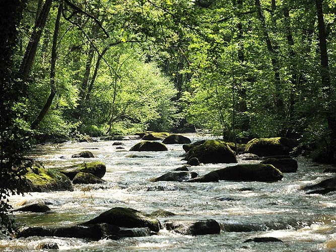 Roche d'Oëtre et gorges de la Rouvre