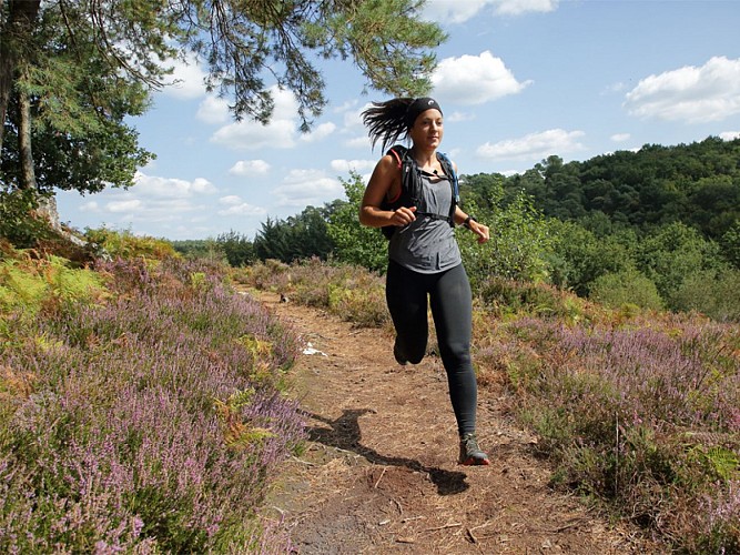 bagnoles-orne-normandie-trail-course-coureur-traileur