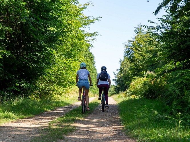 A VTT dans la forêt de Lyons