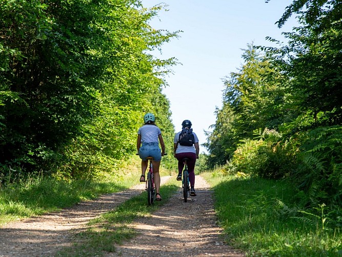 4REB_V-DEBELS_©SMA-58