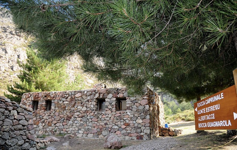 Le Sentier de la Transhumance étape 4 - De Mont'Estremu à Bonifatu
