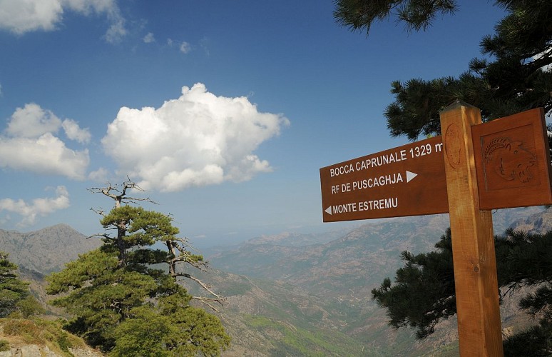 Le Sentier de la Transhumance étape 3 - Du refuge de Puscaghja à Mont'estremu