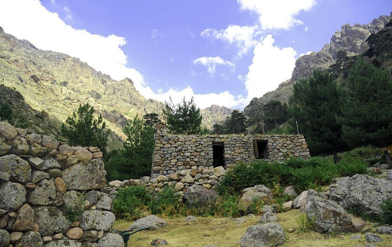 Le Sentier de la Transhumance étape 2 - De Albertacce au refuge de Puscaghja