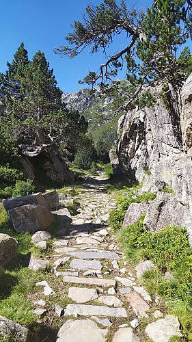 Tour du Vignemale J6 - Refuge Wallon > Pont d'Espagne