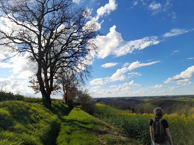 Saint-Laurent "Sentier de Saint-Laurent"