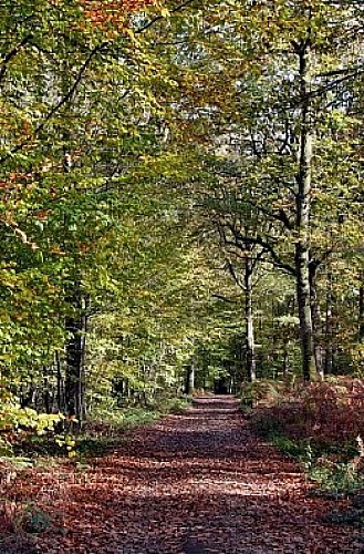 Les Abbayes du Loir