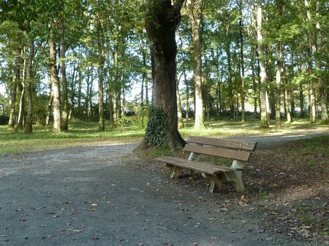 banc sur le chemin 