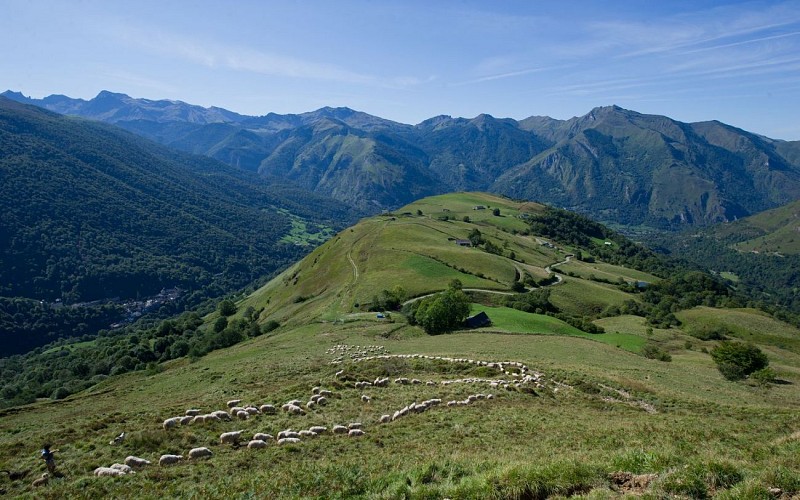 LA-MONTAGNE-VERTE-1440Transhumance-MontVerte0037