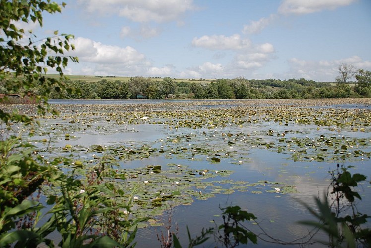 Balcons sur la Somme