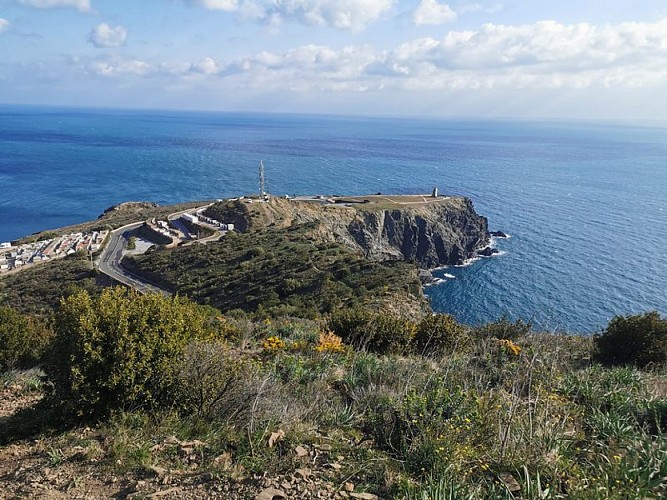(E 12-Sentier Littoral/Führer 2022) Cerbère/Plage de Peyrefite - Col des Bélitres