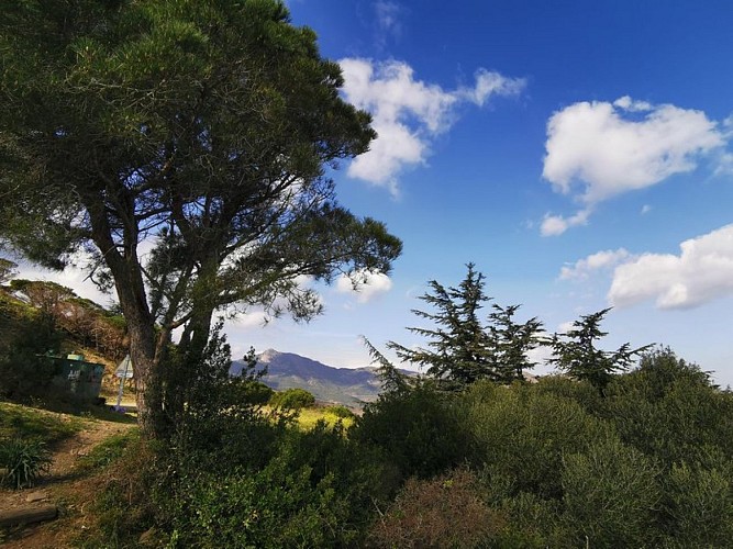 E 12 Coastal Path/Guide 2022: Cerbère/Peyrefite Beach - Col des Bélitres