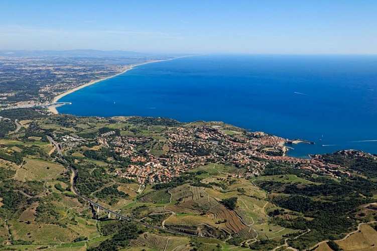 Vue sur Collioure