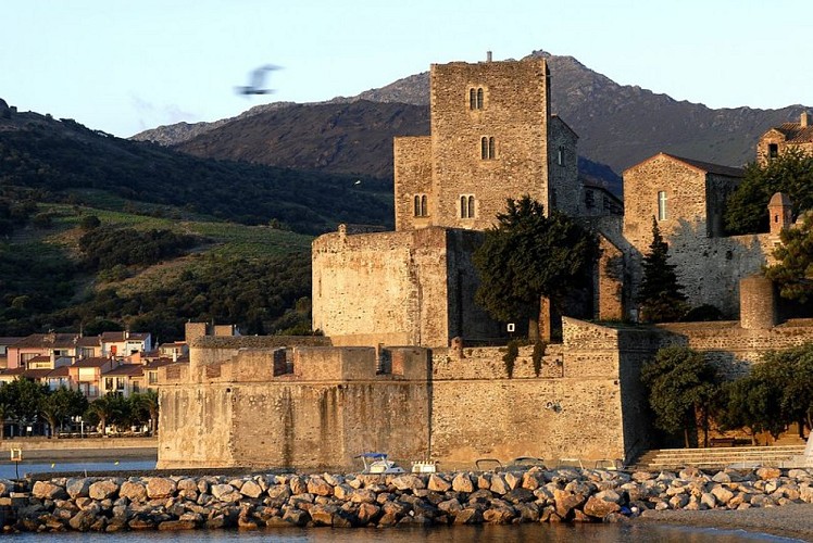 Château Royal de  Collioure