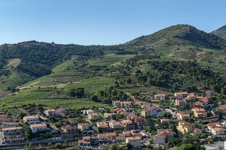 Vue depuis Collioure