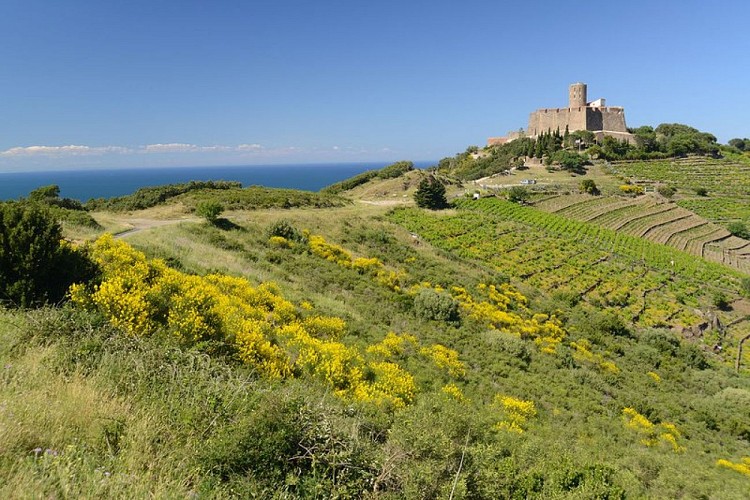 Fort Saint Elme