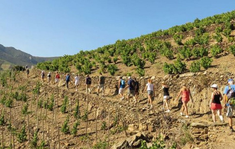 Balade sur le Cami d'Anicet