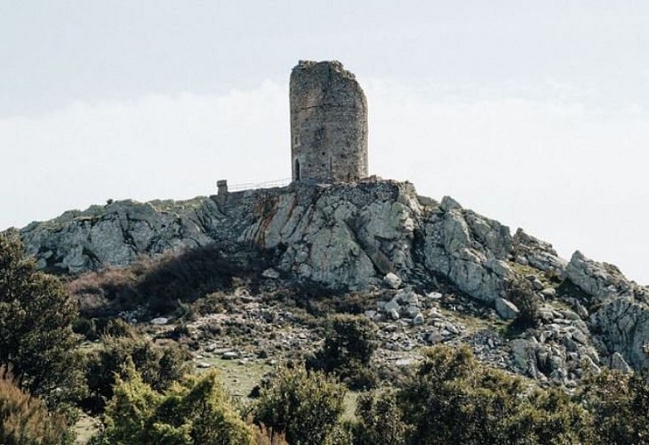 Tour de La Massane