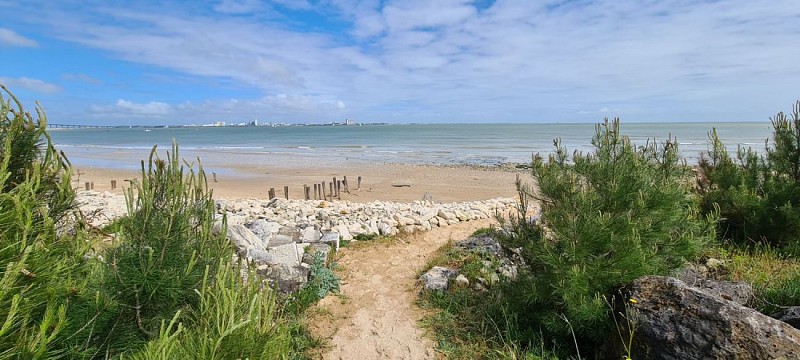 Rivedoux - La Flote - Sainte Marie - Rivedoux