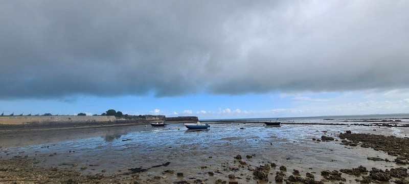 Rivedoux - La Flote - Sainte Marie - Rivedoux