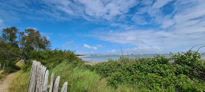Rivedoux - La Flote - Sainte Marie - Rivedoux