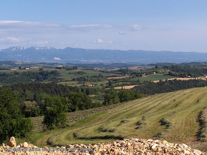 Montchenu au coeur des collines