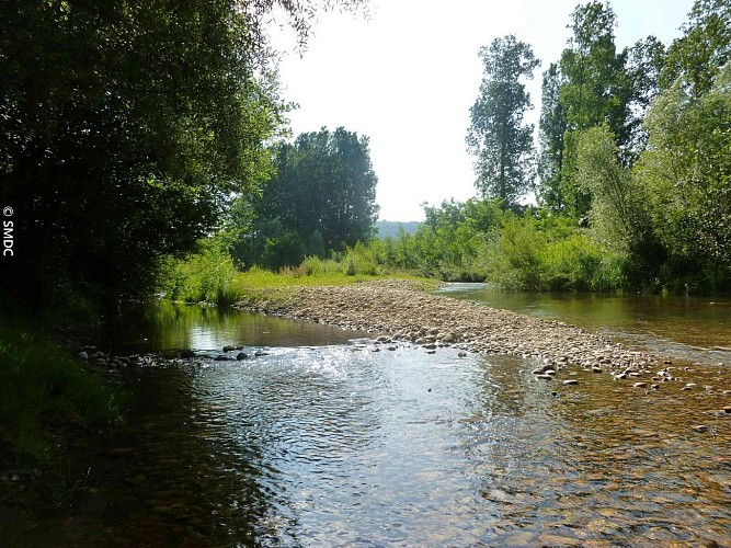 En balade à Champos et au bois de Sizay