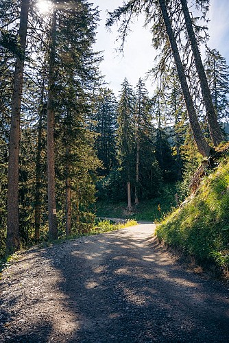 Sentier botanique et Cascade des Poux