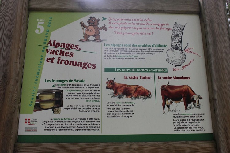 Sentier du grand bois 4