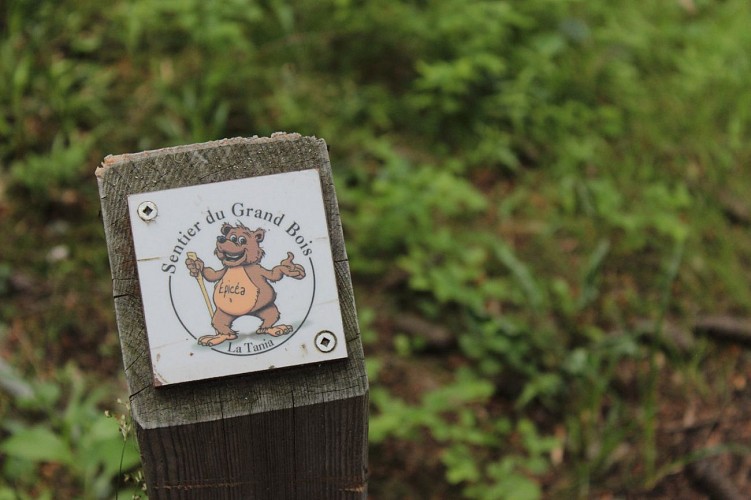 Sentier découverte du Grand Bois