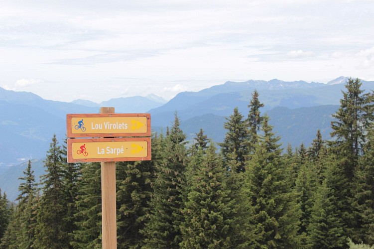 Sentier découverte du Grand Bois