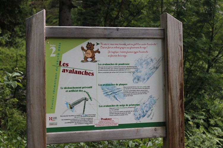 Sentier découverte du Grand Bois