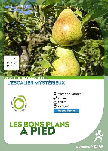 L'escalier mystérieux