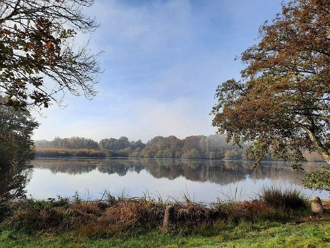 Etang de l'oisonnière