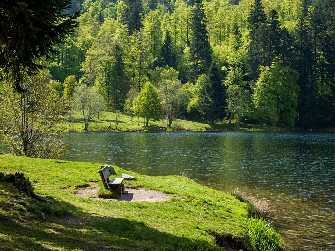 SPAZIERGANG MIT EINEM KINDERWAGEN LAC DE BLANCHEMER