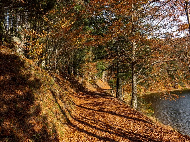 SPAZIERGANG MIT EINEM KINDERWAGEN LAC DE BLANCHEMER