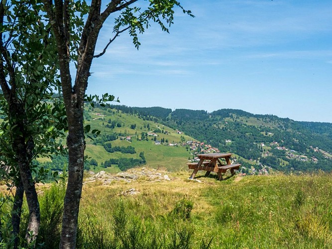 Walk with stoller le brabant , la roche de minuit