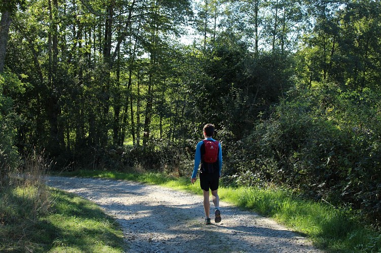 Sur les hauteurs de Combronde