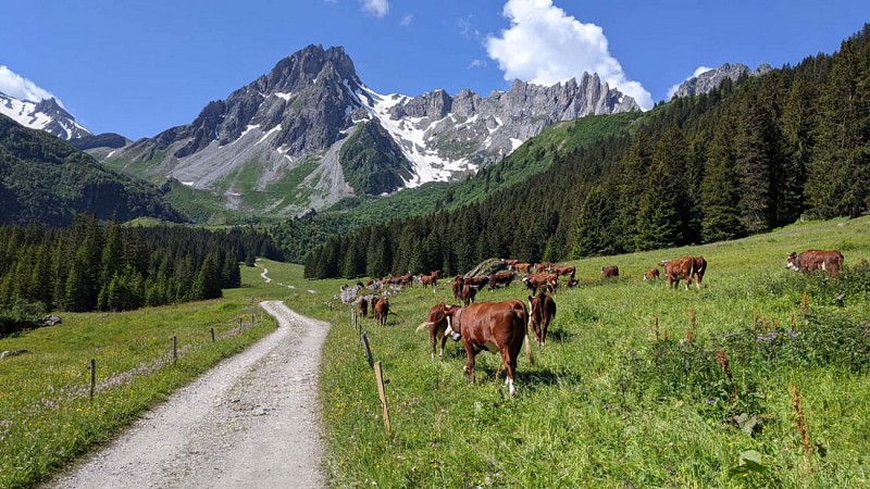 Montée par la voie romaine