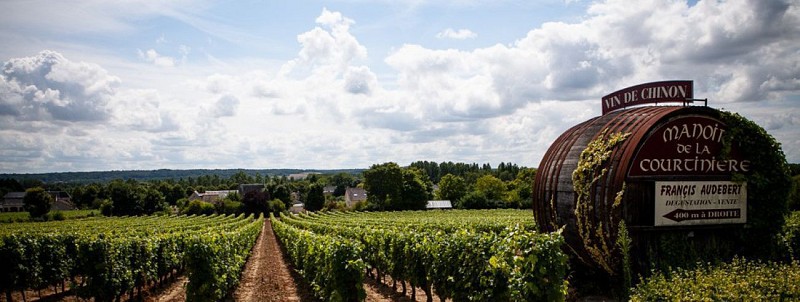 Circuit viticole de Beaumont-En-Véron