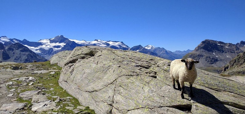 Montée au col de Carro