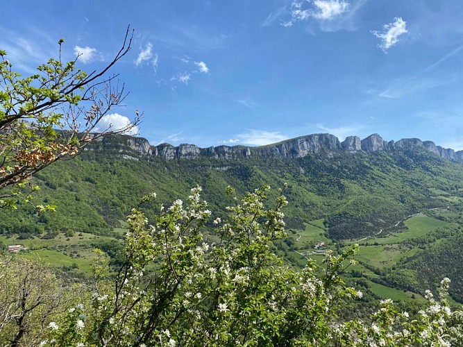 Vue sur la momie