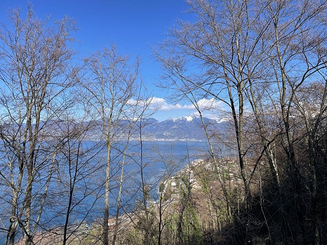Lac, panoramas et dénivelés forestiers entre Bret et Saint-Gingolph