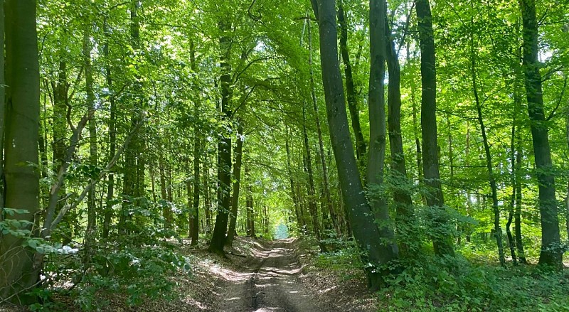 292035417_7761441077261099_39524428673