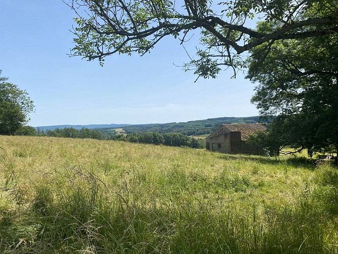 290280463_7761444303927443_6466365783331845105_n