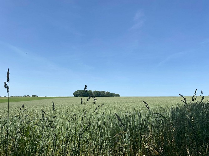 291950678_7761443350594205_28093000281