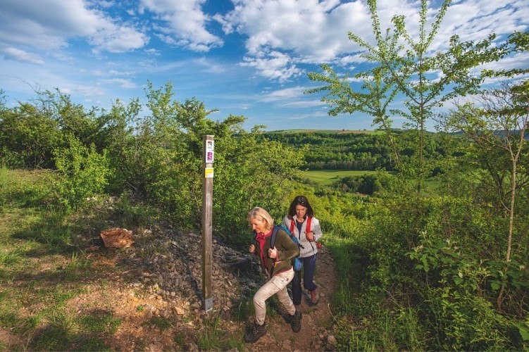 M3-Trail-Rennstrecke (geschlossen)